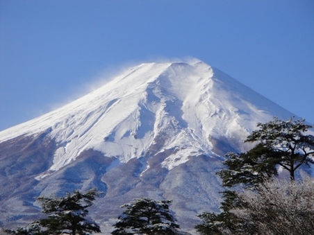 和室7.5〜10畳